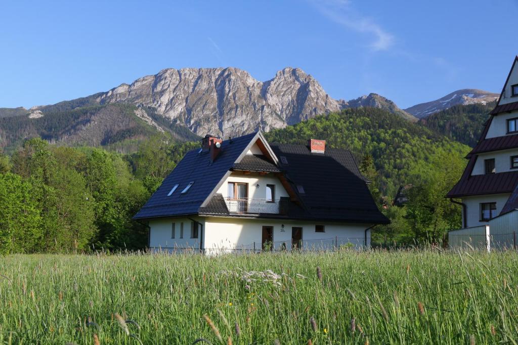 ザコパネにあるWilla w Dolinie Cichej Wodyの山を背景にした畑家