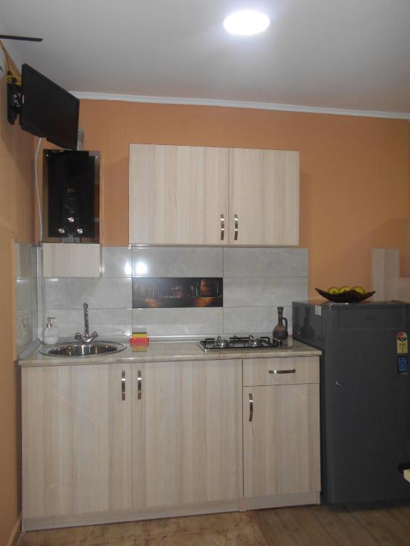 Kuchyň nebo kuchyňský kout v ubytování Guesthouse on Benashvili