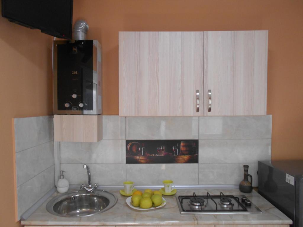 Kuchyň nebo kuchyňský kout v ubytování Guesthouse on Benashvili