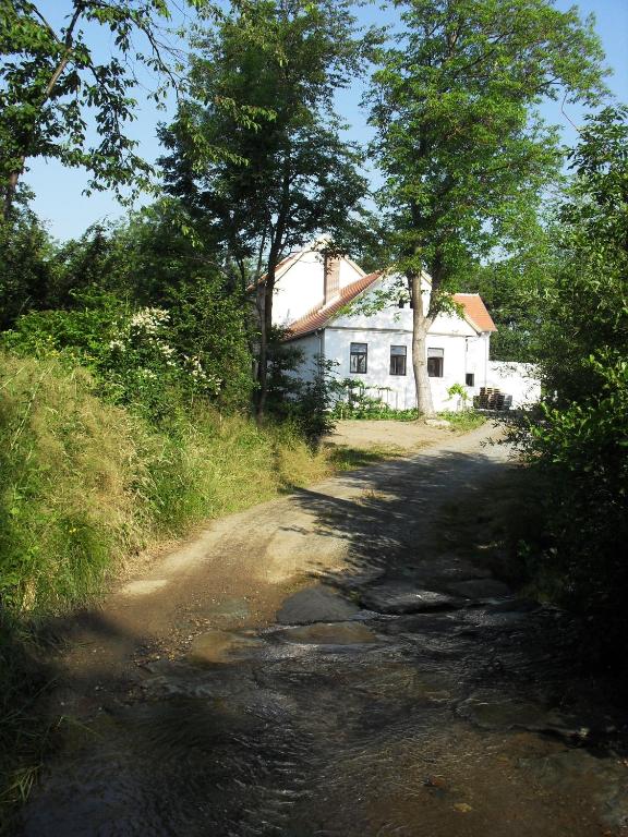 a dirt road in front of a white house at Alte Mühle Kaisersdorf in Kaisersdorf