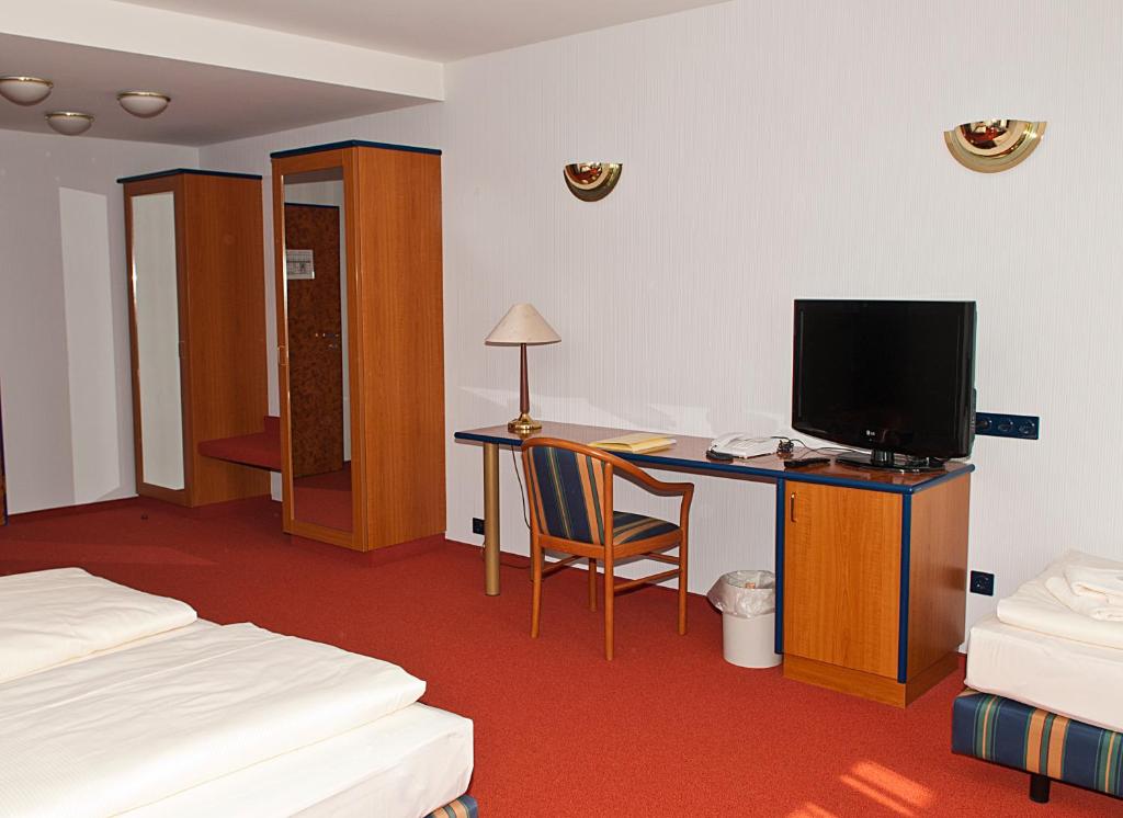 TV a/nebo společenská místnost v ubytování Hotel Falkenstein