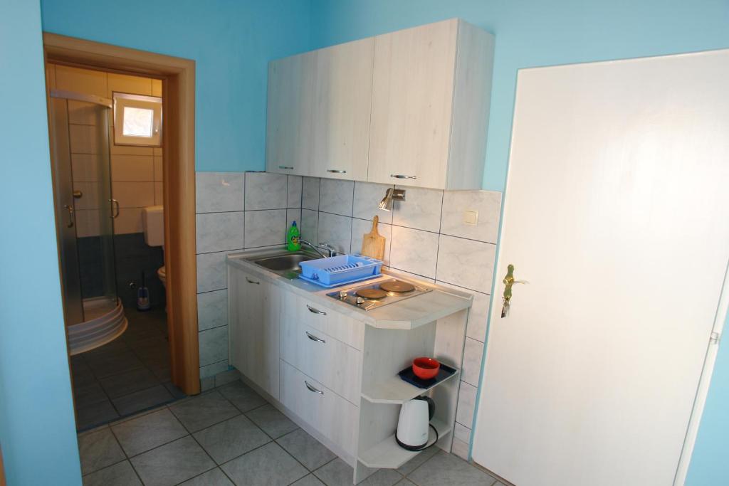 Kuchyň nebo kuchyňský kout v ubytování Apartments Andro