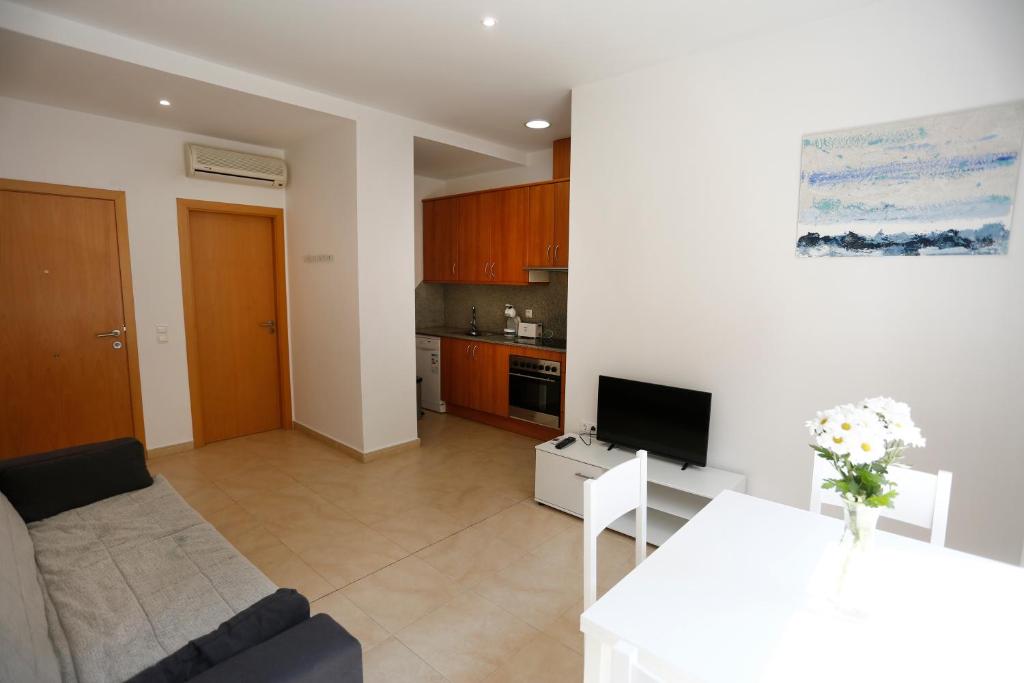 Televízia a/alebo spoločenská miestnosť v ubytovaní Apartaments Claudia