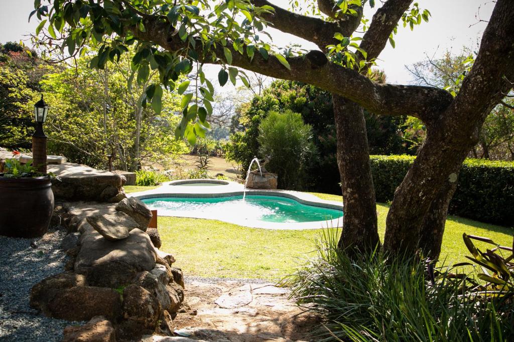 ein Pool im Garten mit einem Baum in der Unterkunft Lidwala Lodge in Ezulwini