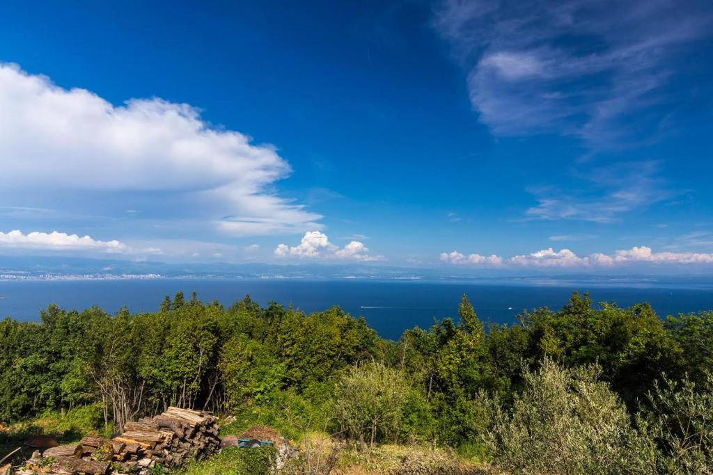 a view of the ocean from the top of a hill at The View Studio Moscenice in Mošćenice