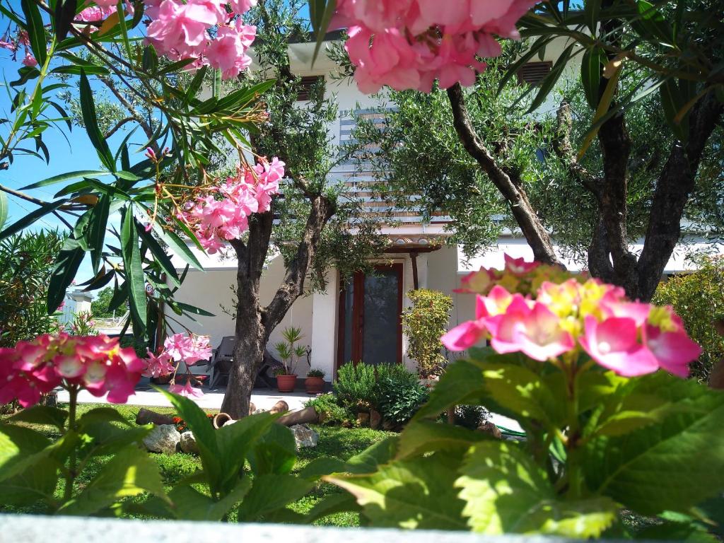 Appartamento Berlicche في Agliana: حديقة بها زهور وردية أمام المنزل