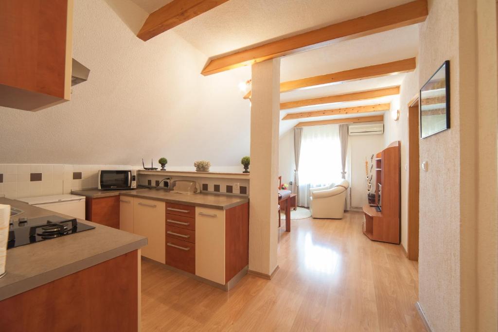
a kitchen with a stove, sink, and refrigerator at Guest House Bruna in Drežnik Grad
