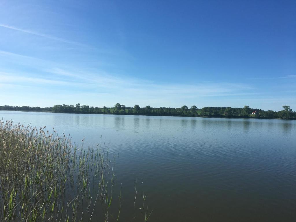 une grande masse d'eau avec des arbres à l'arrière-plan dans l'établissement AlleGorło, à Stare Juchy