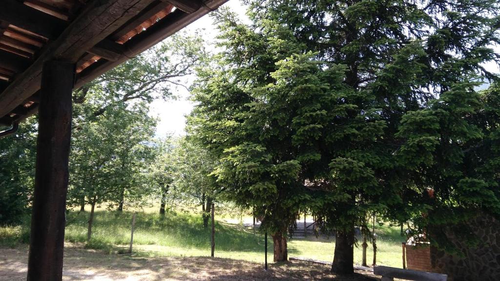 Zahrada ubytování Agriturismo Collevento