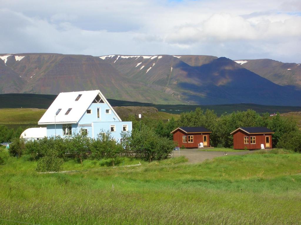 a white house in a field with mountains in the background at Guesthouse Pétursborg in Akureyri
