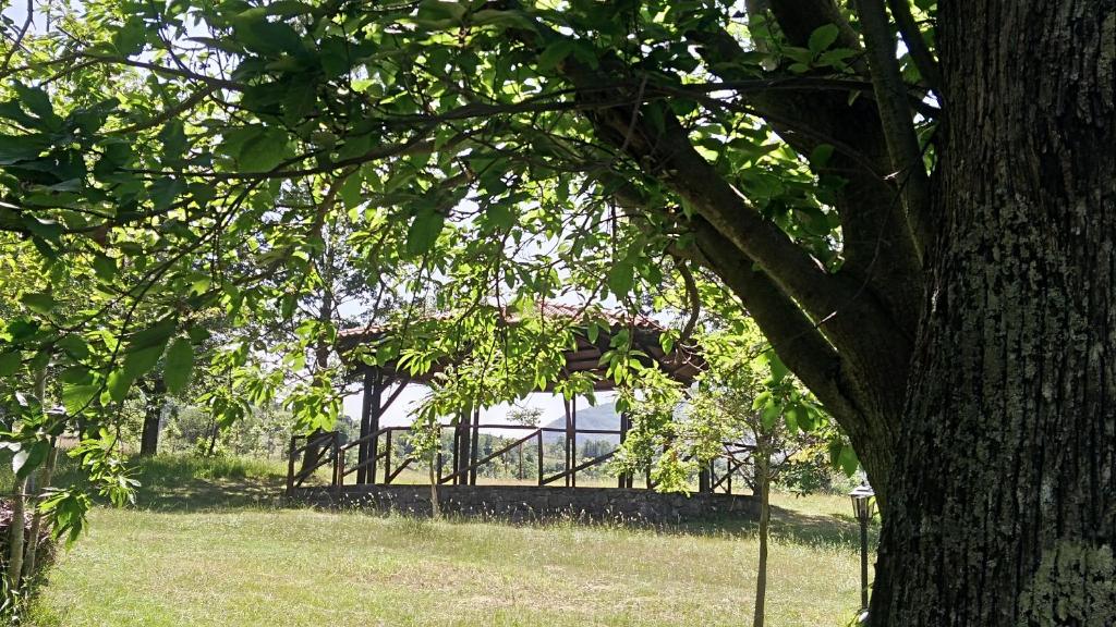 Zahrada ubytování Agriturismo Collevento