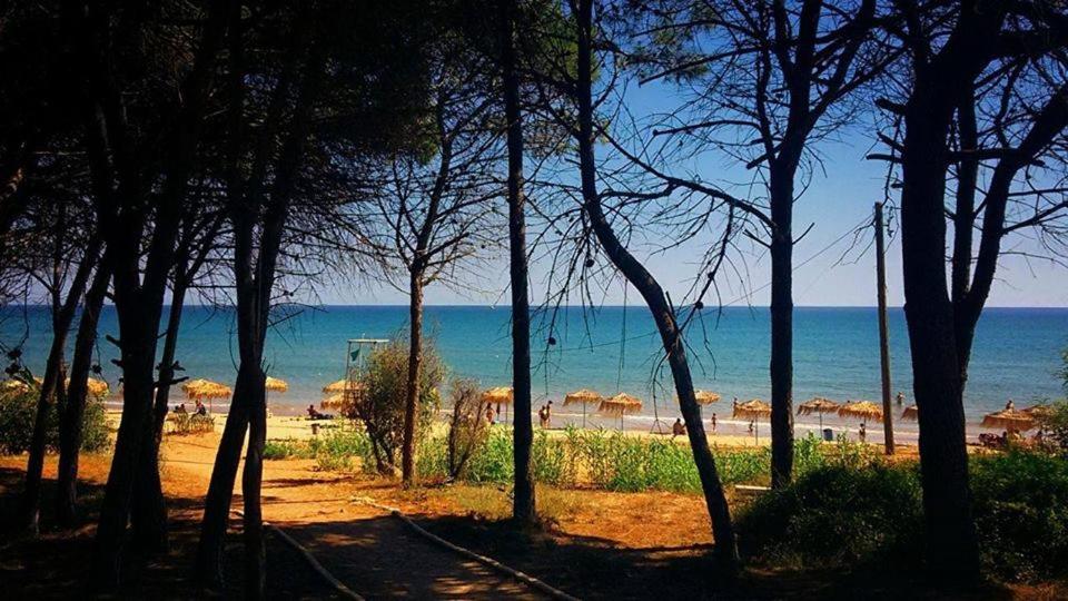 Příroda nedaleko apartmánu
