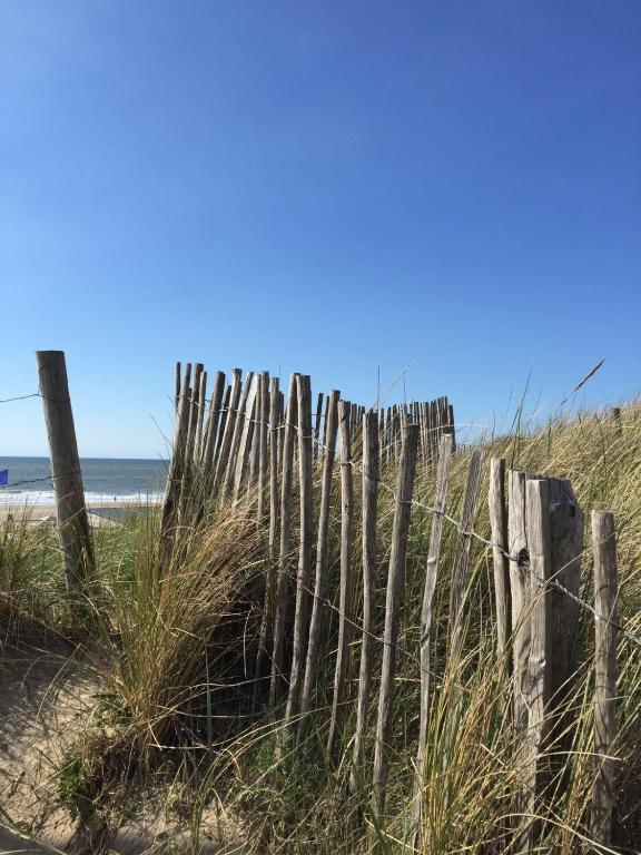 a wooden fence on a beach near the ocean at Koningshof in Alkmaar