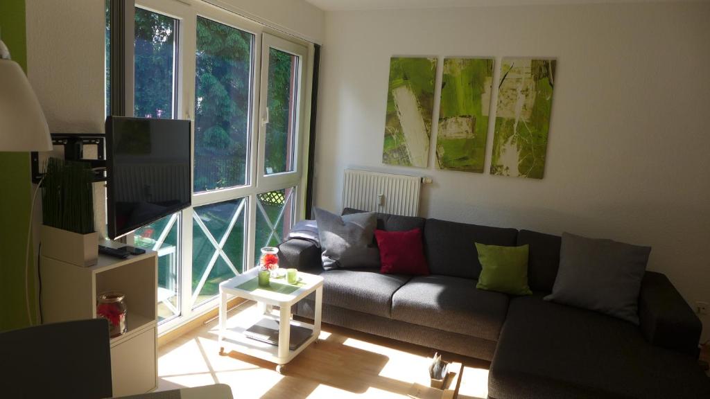 ein Wohnzimmer mit einem Sofa und einem TV in der Unterkunft Appartement Schultz - Grüne Aue in Braunlage