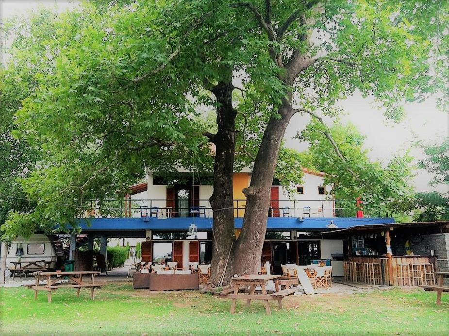 a building with a tree and picnic tables in front of it at Summit Zero Hostel in Plaka Litochorou