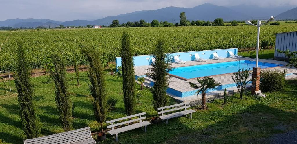 Bazén v ubytování Shaloshvili's Cellar Hotel nebo v jeho okolí