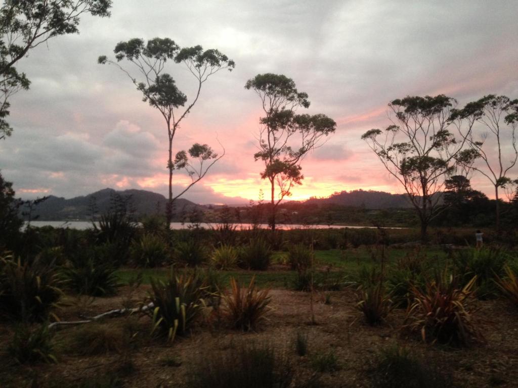 Athenree Hot Springs & Holiday Park - Resim 43