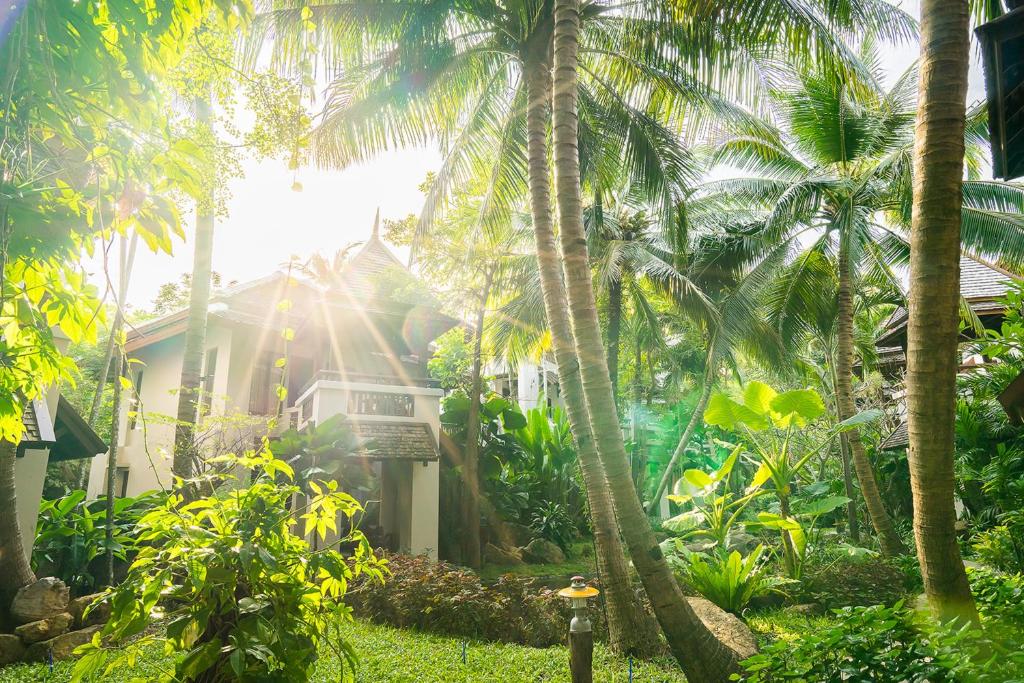 Zahrada ubytování Muang Samui Spa Resort - SHA Extra Plus