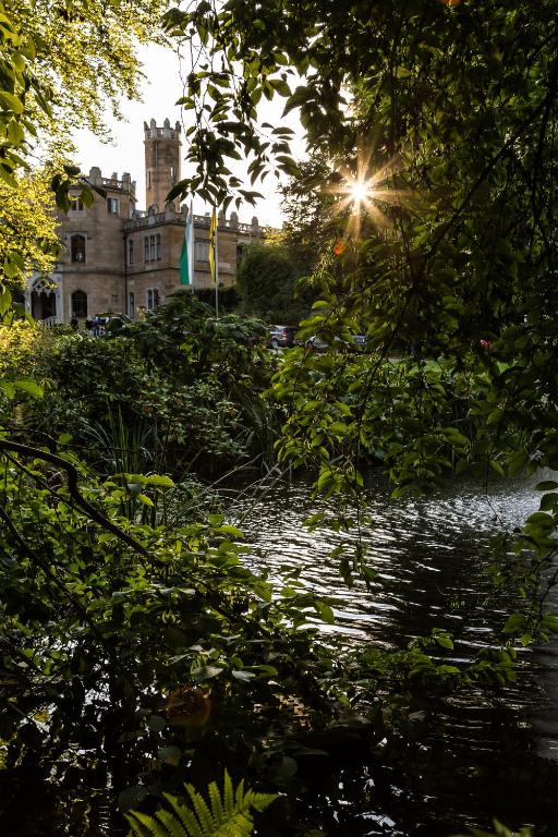 Hotel Schloss Eckberg - Resim 28