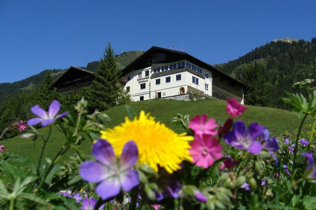 a house on top of a hill with flowers at Gästehaus Wildbach in Mittelberg