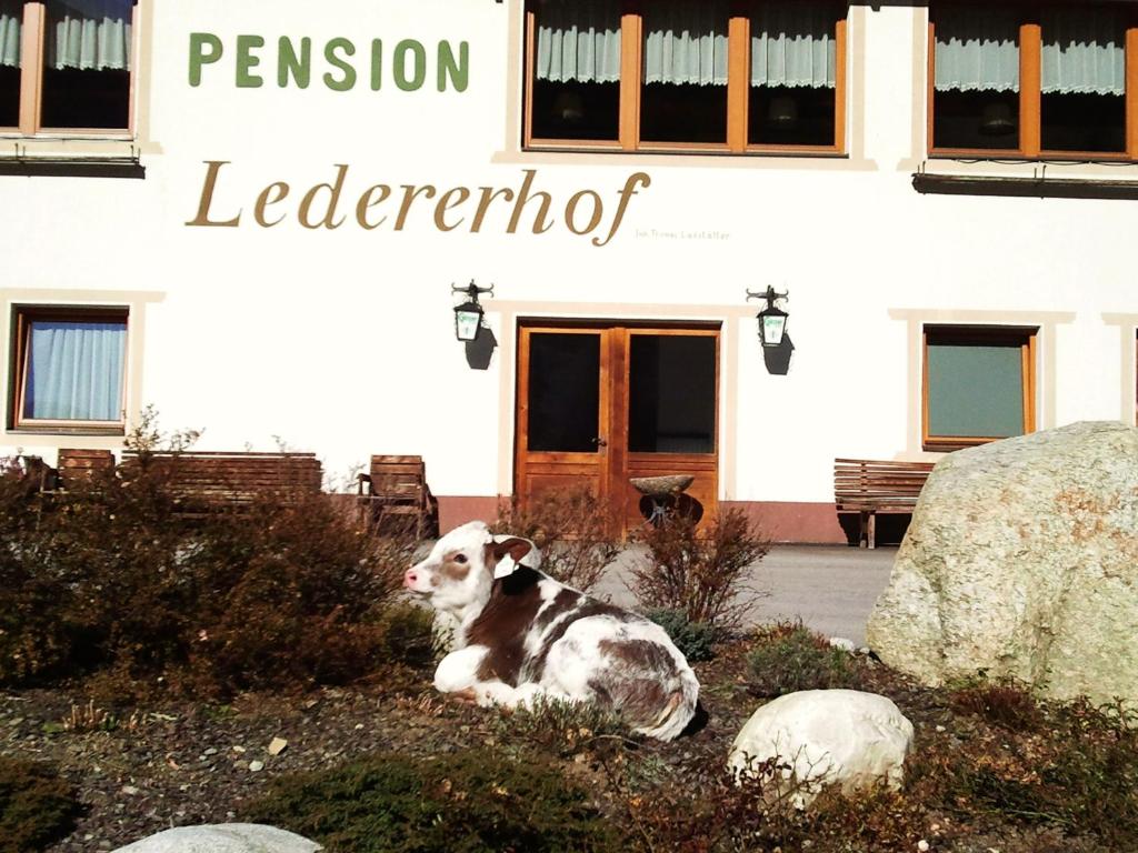 Fotografie z fotogalerie ubytování Ledererhof Apartments v destinaci Sankt Jakob in Defereggen