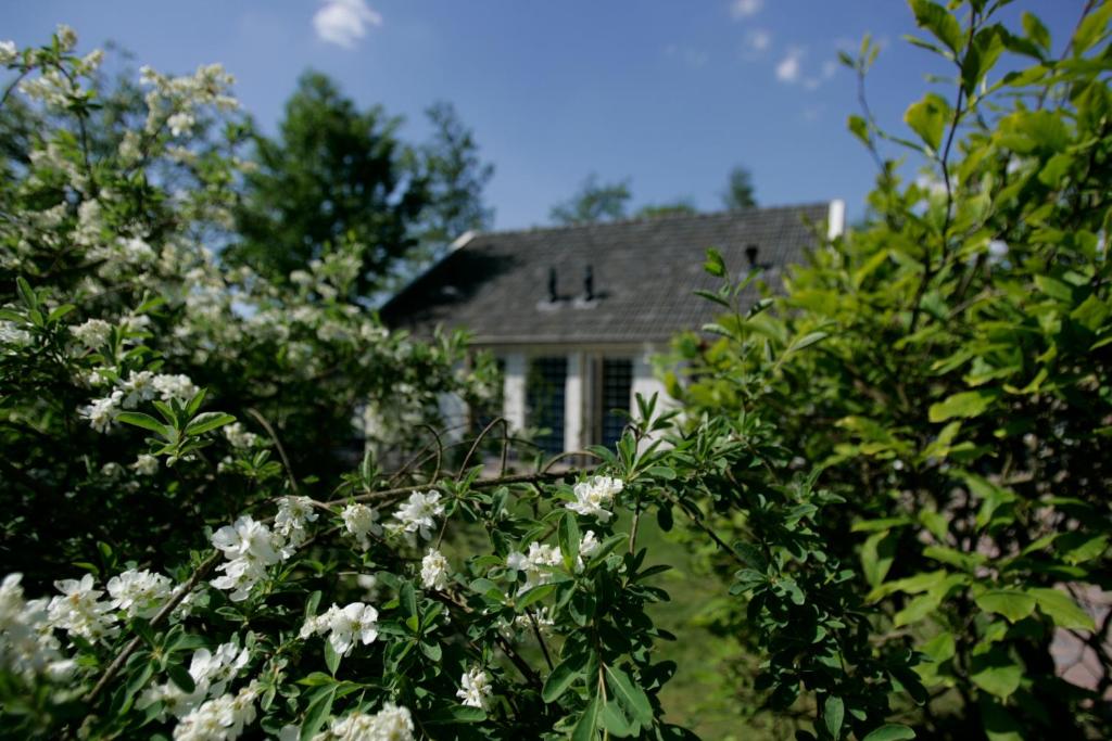 una casa detrás de los árboles con flores blancas en Vakantiehuis NamaStee en Schoonloo