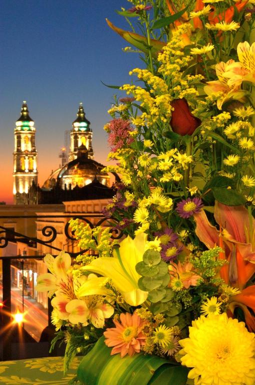 Zahrada ubytování Hotel Plaza Colonial