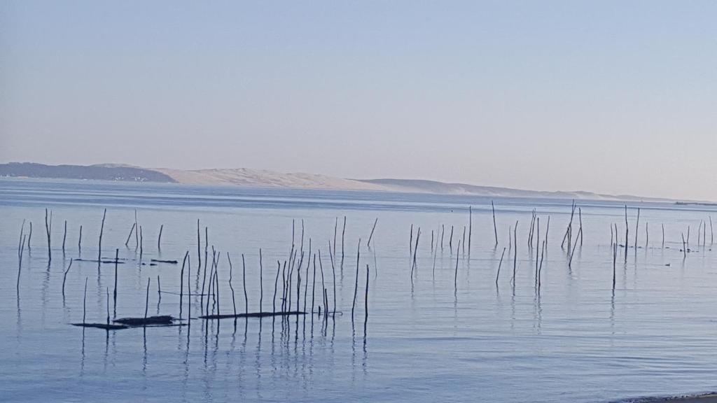Paesaggio naturale nelle vicinanze del campeggio
