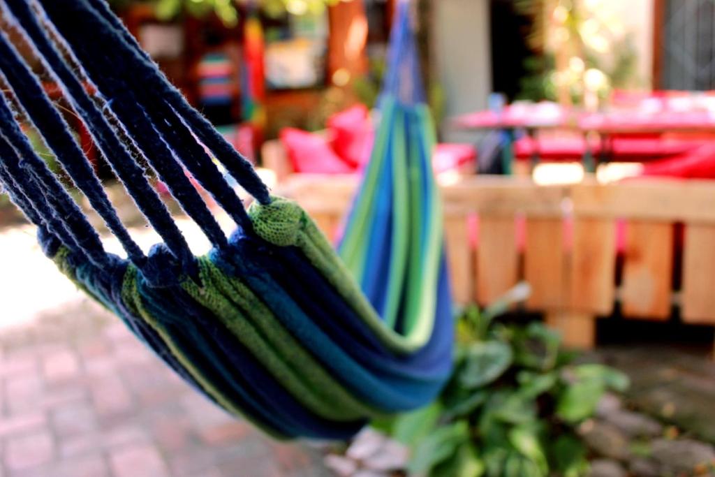 Un jardín fuera de The Wanderers Hostel