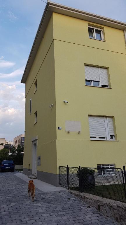 un perro caminando delante de un edificio amarillo en Apartments Adriana, en Split