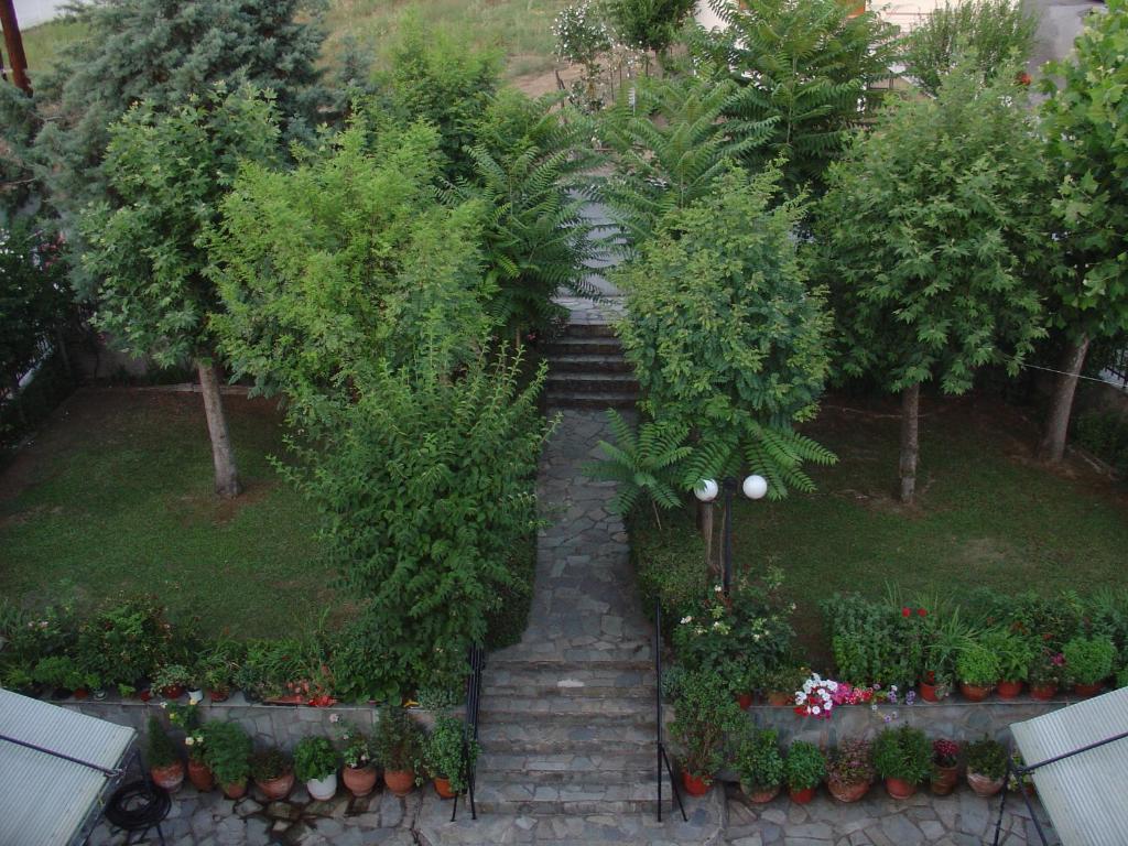 Zahrada ubytování Zozas Rooms