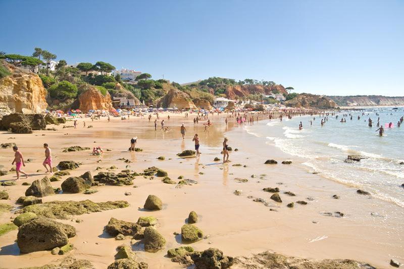 Loodusmaastik puhkemaja lähedal