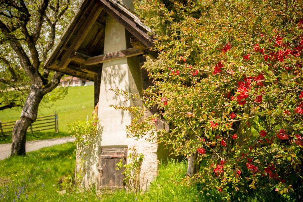 Zahrada ubytování Walcherhof