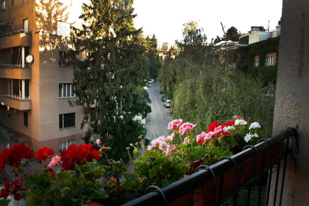Vonkajšia záhrada v ubytovaní Apartment Classic Deco