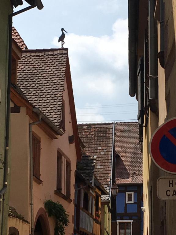 Le P'retzel & Le Sticksy – photo 39