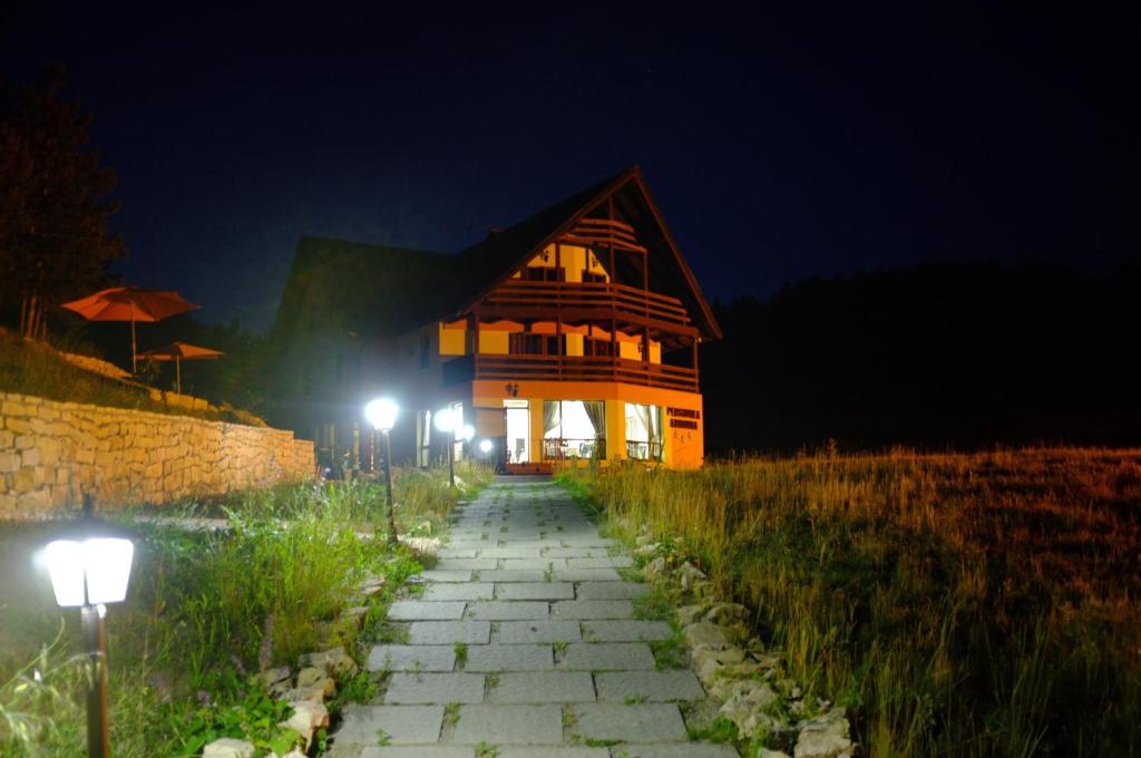 a large building at night with lights in front of it at Pensiunea Armonia in Nădăşelu