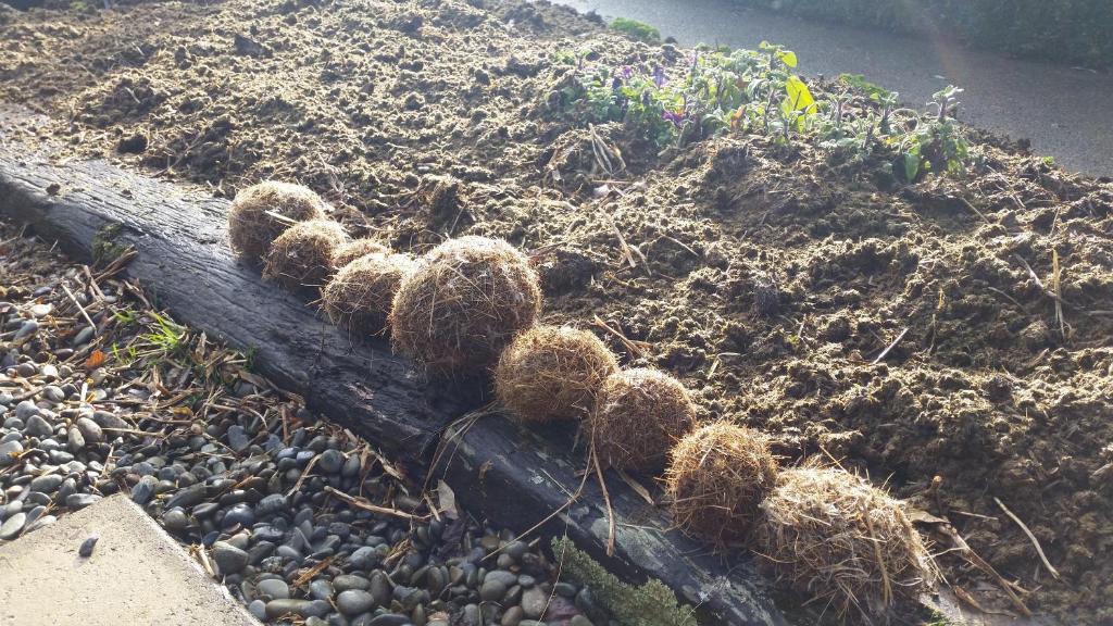 Whiteacres - Resim 40