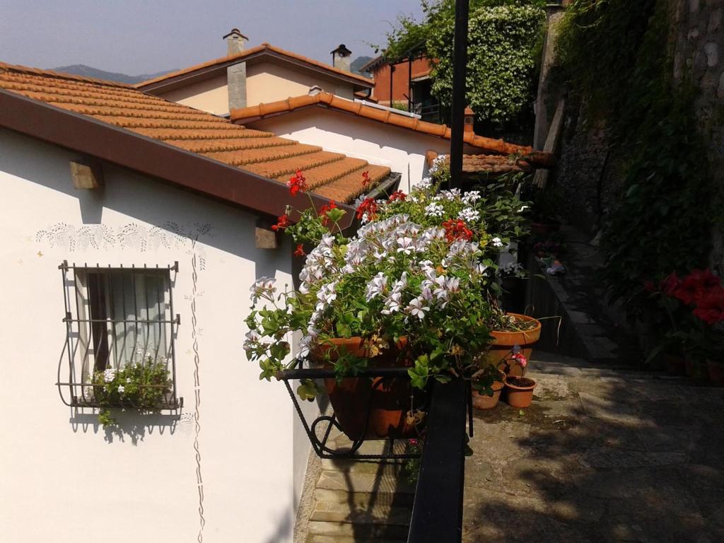 The building in which a panziókat is located