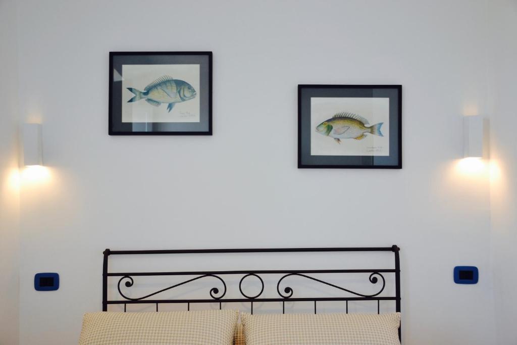three framed pictures of fish on a white wall at Il Bottone al Duomo in Gaeta