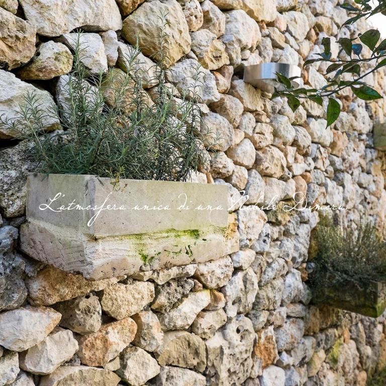 Fotografie z fotogalerie ubytování B&B Donnantonietta - Nobile dimora v destinaci Minervino di Lecce