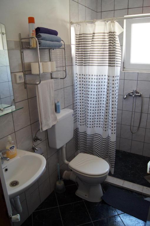 a bathroom with a toilet and a sink and a shower at Guest House Stara Baranja in Kneževi Vinogradi