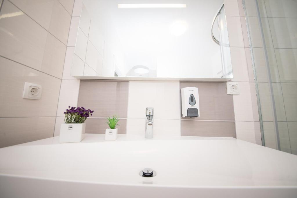 Fotografie z fotogalerie ubytování Apartments Niko v destinaci Zaton