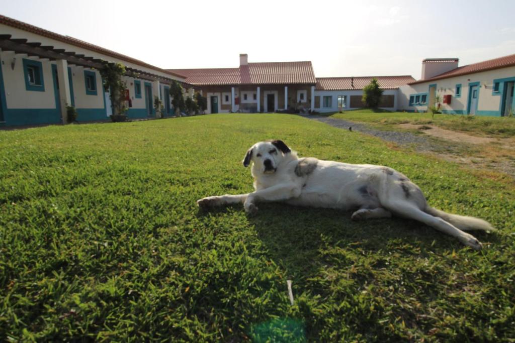 Domácí mazlíčci ubytovaní s hosty v ubytování Dias Distintos - Turismo Rural