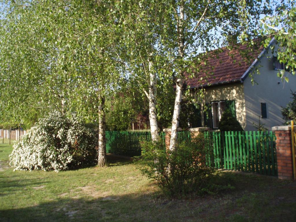 a house with a green fence in a yard at Oázis Vendégház in Gyula