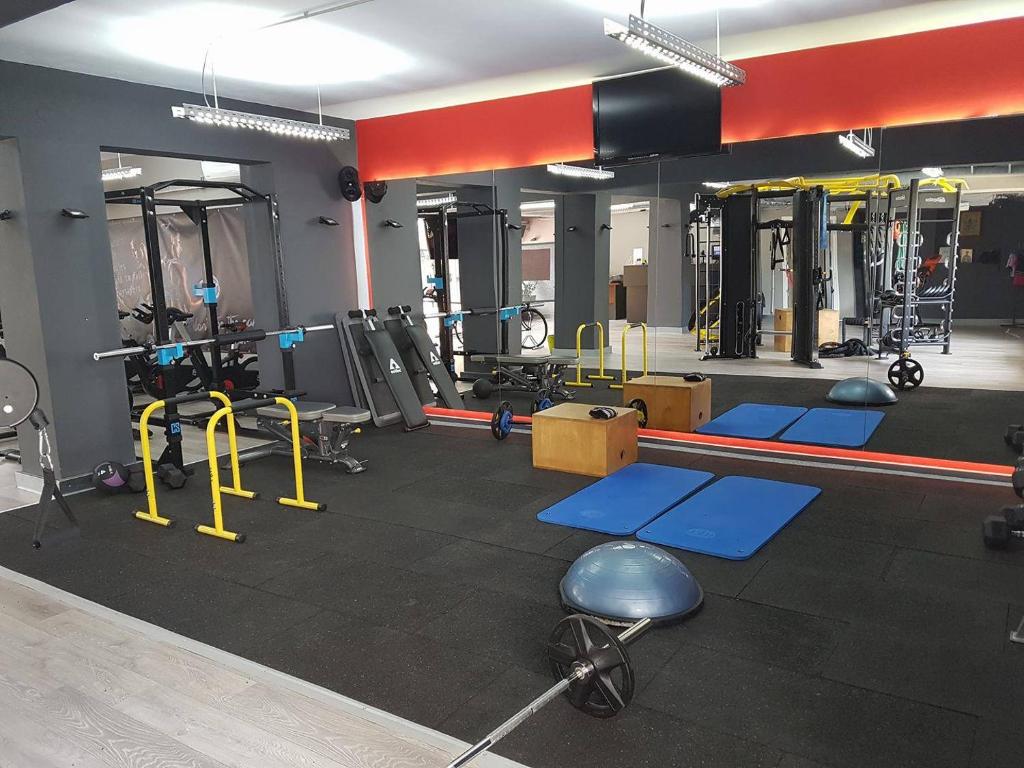 Fitness centrum a/nebo fitness zařízení v ubytování Artemision