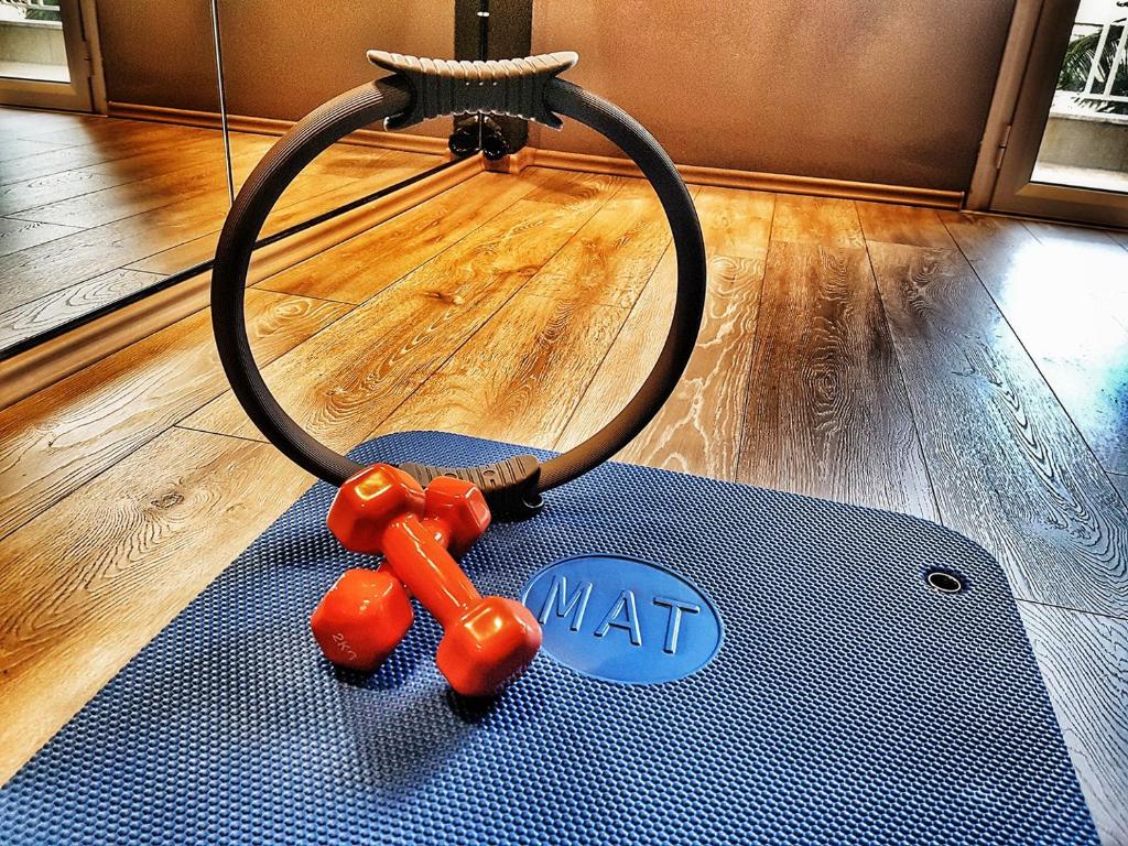 Fitness centrum a/nebo fitness zařízení v ubytování Artemision