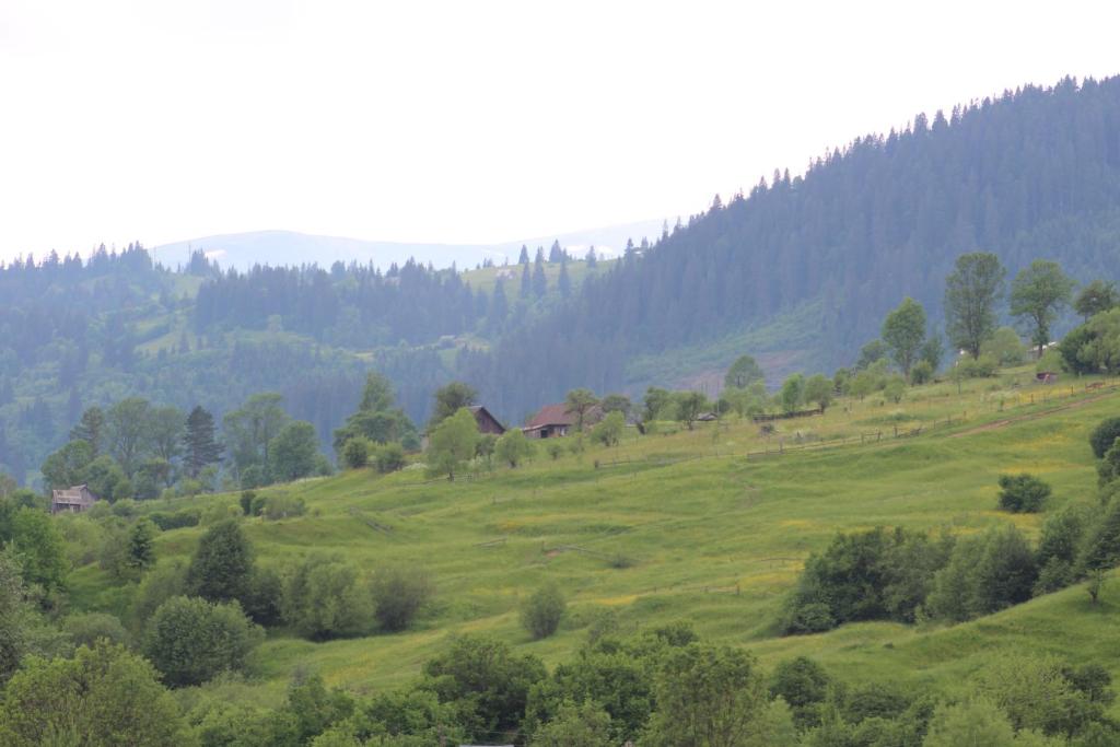 Příroda nedaleko hotelu