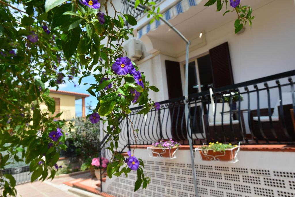 プーラにあるVilla Elisabetta Apartmentsの紫色の花が咲くバルコニーの鉢植え2本