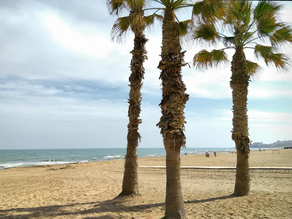 Kép La Mata Beach Apartment szállásáról La Matában a galériában
