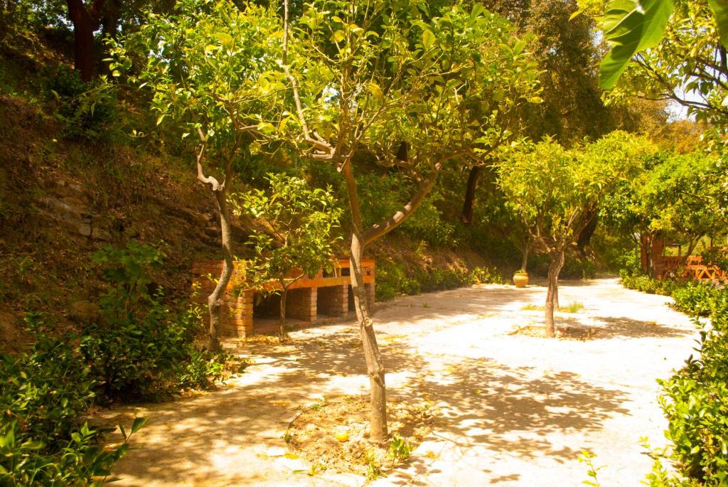 A garden outside Agriturismo Fattoria di Grenne